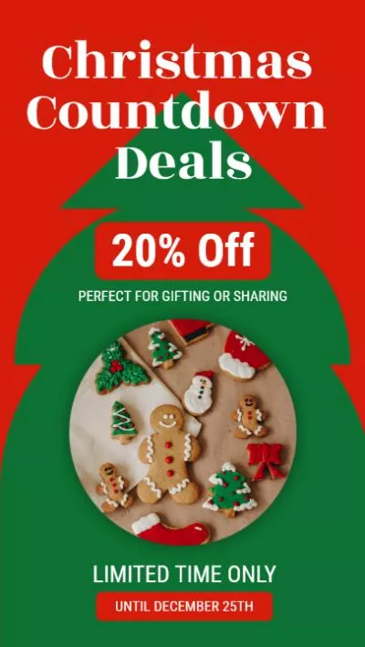 Modern Christmas Holiday Discount Sales Gift Promo Instagram Story