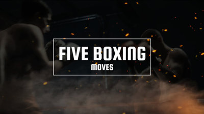 Modern Dark Flame Boxing Five Moves Introduction