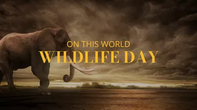 Dia Nacional Da Vida Selvagem