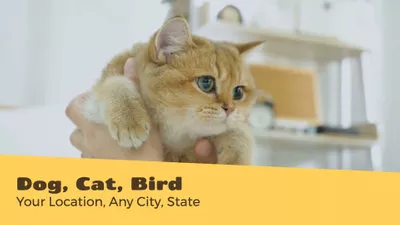 Pet Adoption