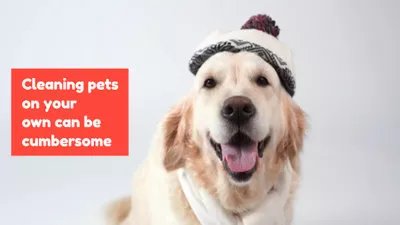 Pet Groomer