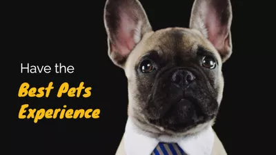 Pet Store Promo