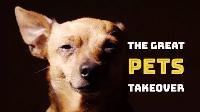 Pet Store Promotion