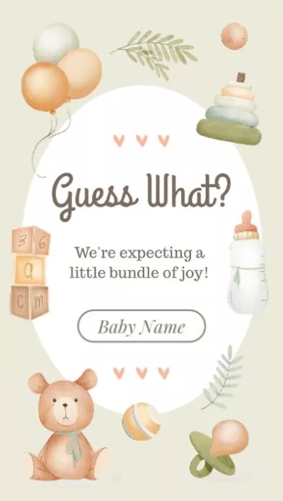  Pregnancy Announcement Baby Shower Invitation Instagram Story