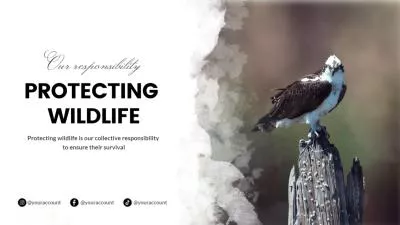 Promoção Campanha De Proteção Da Vida Selvagem