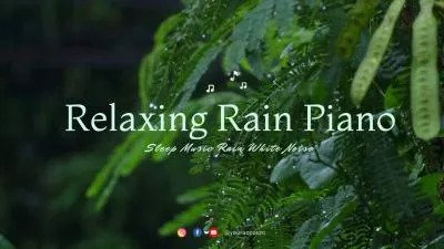  Relaxing Piano Sleep Music Rain White Noise Youtube Channel Intro