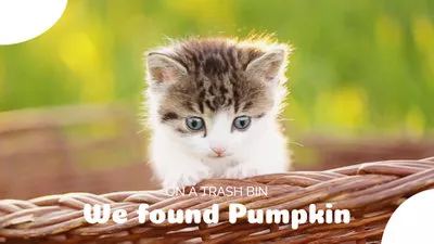 Save Homeless Pet
