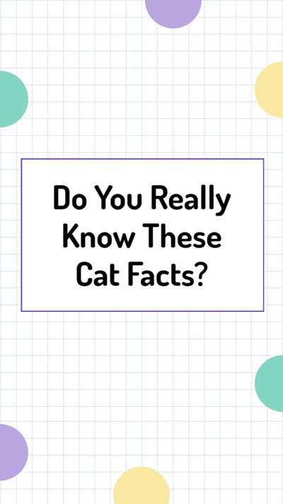 Simple and Modern Universal Cat Fact Science Video