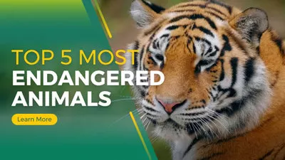 Top 5 Animales En Peligro Salvaje Natural Presentación De Diapositivas