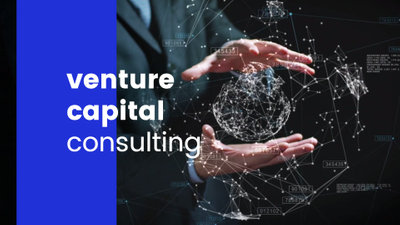 Venture Capital Consulting