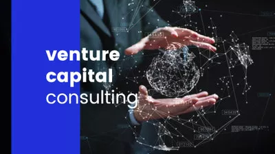 Venture Capital Consulting
