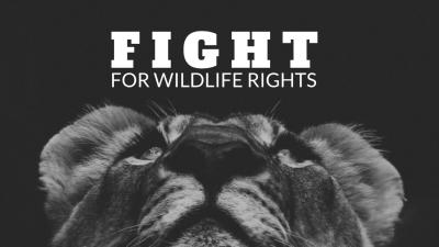 Wildlife Rights