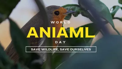Dia Mundo Do Animal Animal Selvagem Proteger