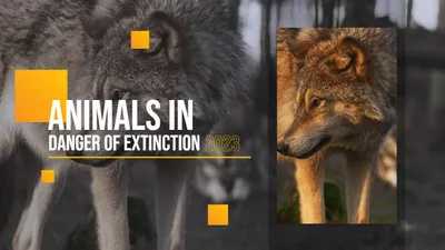 World Endangered Animal Species